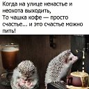 ���� ����, ���������� - ��������� 23 ������� 2018 � ������ ������ ��������