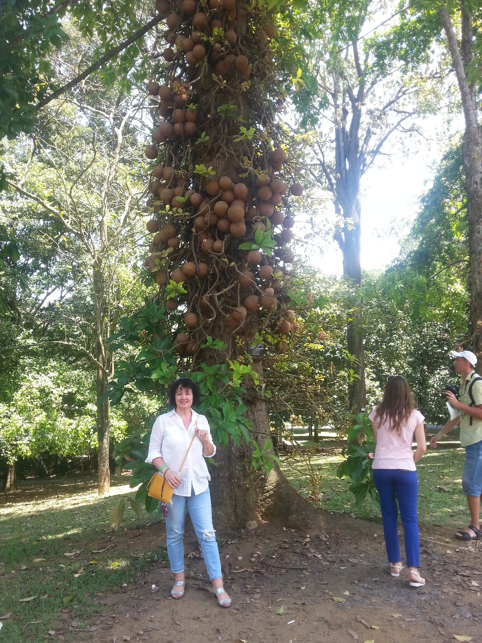 Sveta  - 2  2018  04:28