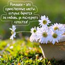 ���� Extasy, ����� - ��������� 17 ������ 2018 � ������ ��������