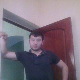 �����, �������, 37 ���