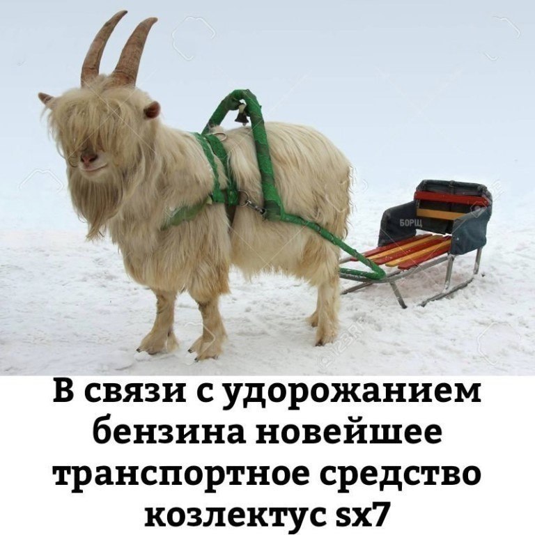 �... - 8 ���� 2018 � 17:33