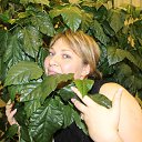 ���� ����� ��������, ����������, 40 ��� - ��������� 19 ������ 2018