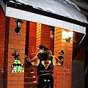  , , 50  -  3  2018   2018  