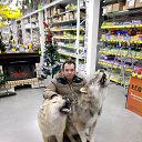 ���� ����, �����-���������, 51 ��� - ��������� 24 ������� 2017