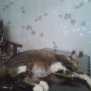  Saturn,  -  10  2018   