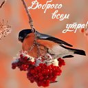 ���� �����, ��������� - ��������� 20 ����� 2018 � ������ ���� ����������