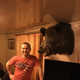 �����, �������, 44 ����