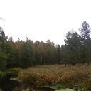 ���� ����, ������, 56 ��� - ��������� 3 ������� 2017