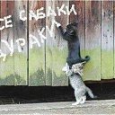 ���� �����, �������� - ��������� 15 ����� 2018 � ������ ���� ����������