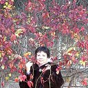 ���� ���� ��������, �����-���������, 72 ���� - ��������� 26 ����� 2018 � ������ ���� ����������