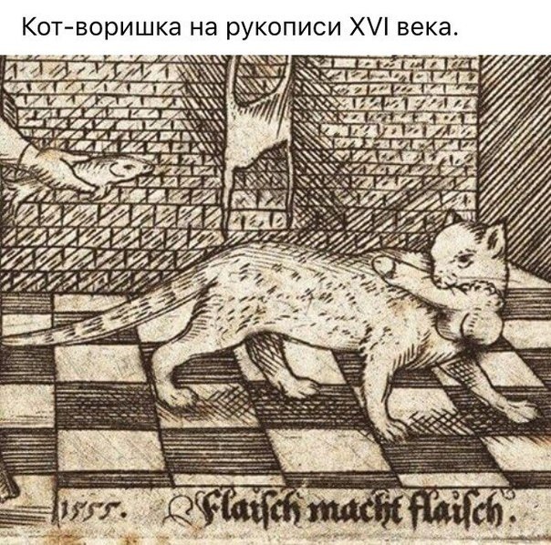 World History - 13  2018  04:33