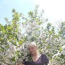 ���� �������, ������, 69 ��� - ��������� 6 ����� 2018 � ������ ���� ����������