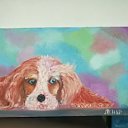 ���� Marat Nar, ������, 55 ��� - ��������� 7 ������� 2017 � ������ ���� ����������