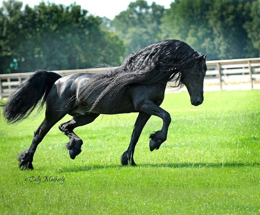  -   ! - 10  2018  04:00