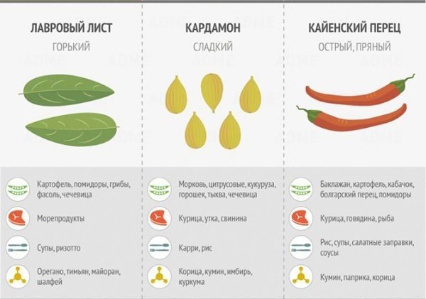 Немного про специи, чтобы ваши блюда были еще вкусней! #советы@ican - 2