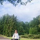 ���� �����, ����� - ��������� 24 ������� 2018