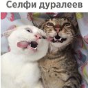 ���� E_lena, ������������, 50 ��� - ��������� 6 ��� 2018 � ������ ������ ��������