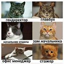 ���� �������, ������� - ��������� 18 ����� 2018 � ������ ������ ��������