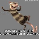 ���� Yaroslav (�������), ����, 46 ��� - ��������� 31 ������� 2017 � ������ ���� ����������