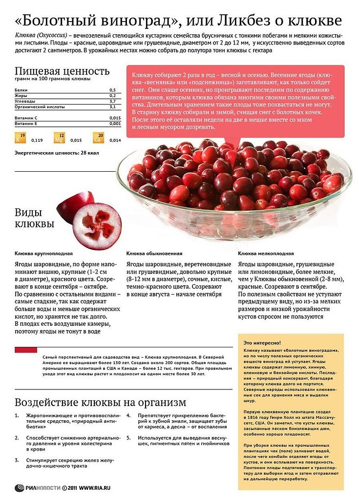 Сироп клюквы на фруктозе, 250 мл в Новосибирске