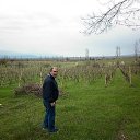  Vaxo, , 63  -  6  2018    