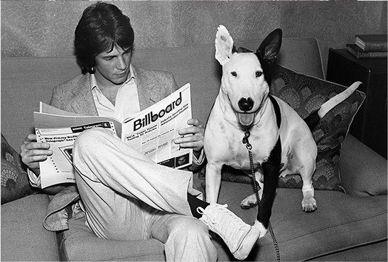  . - 8  2017  03:49 - 5