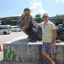 ���� Dim, �����, 50 ��� - ��������� 19 ��� 2018 � ������ ���� ����������