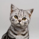 ���� ������, ���������, 48 ��� - ��������� 28 ������� 2017 � ������ ���� ����������