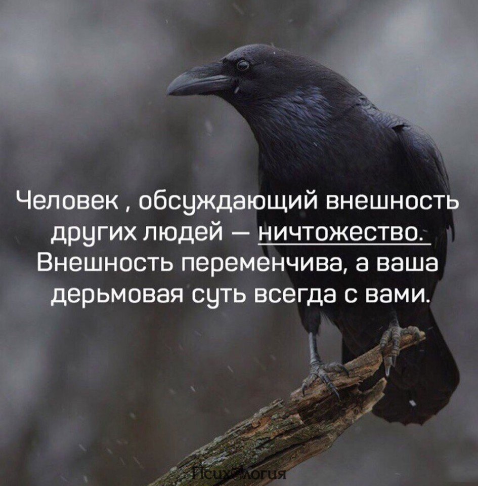 Психология - 3 апреля 2018 в 04:10