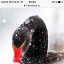 ���� �������, ������ - ��������� 27 ������ 2018 � ������ ���� ����������
