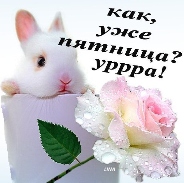 Смело идите навстречу новому! Я не с тобой, но у тебя внутри, Мечтами сокращаю расстоянье, Я где-то ...