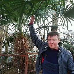 ���� ���������, ����, 45 ��� - ��������� 6 ������ 2018