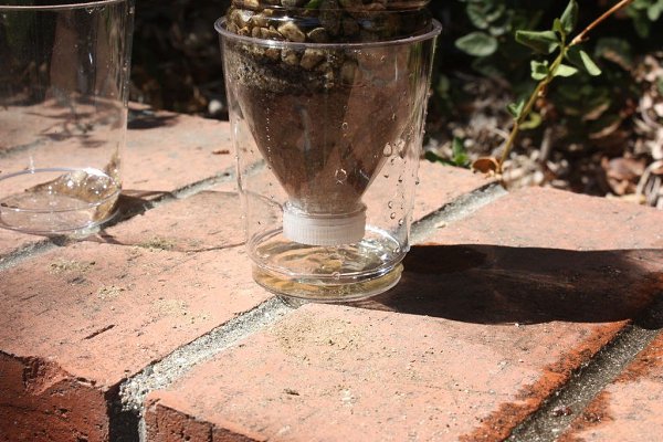 Как самому сделать фильтр для воды.Фильтр для воды – крайне необходимый предмет в любом походе. Он ... - 8