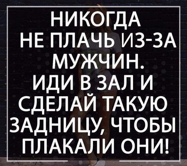 SportFeed - 13  2018  03:40