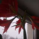 ���� �, ���� - ��������� 7 ������� 2018 � ������ ������ ��������