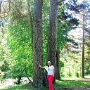 ���� ������, ������� - ��������� 2 ���� 2018 � ������ ���� ����������