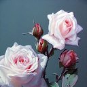 ���� �������, ����� - ��������� 17 ���� 2018 � ������ ���� ����������