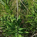 ���� �������, ��������, 58 ��� - ��������� 24 ���� 2018 � ������ ������ ��������