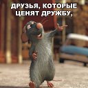 ���� ������, �����������, 47 ��� - ��������� 24 ������� 2017 � ������ ���� ����������