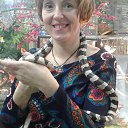 ���� �����, �����������, 41 ��� - ��������� 13 ������� 2017