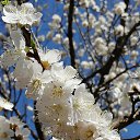 �������� � �����. �� ������� ���� ����������