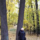 ���� ������, ���������, 65 ��� - ��������� 1 ������� 2017 � ������ �1�