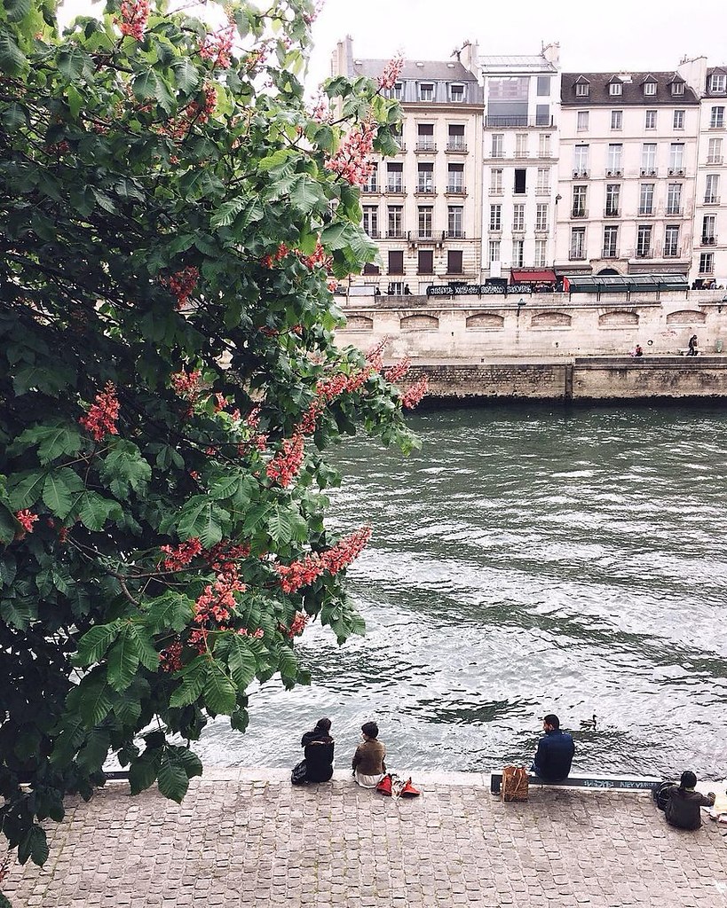 Blossoming Paris - 2