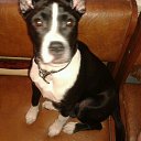 ���� �������, ������, 48 ��� - ��������� 17 ������� 2018 � ������ ���� ����������