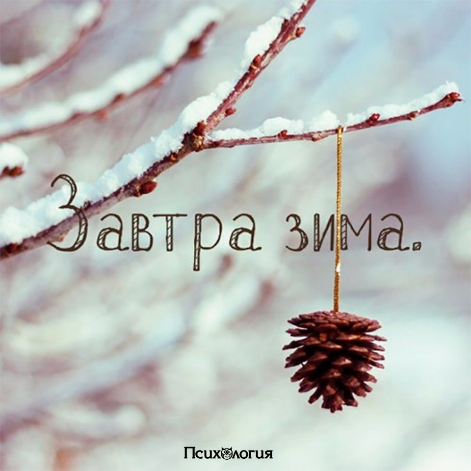  - 1  2017  03:31