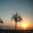 ���� �������, �����������, 62 ���� - ��������� 6 ������� 2017 � ������ ���� ����������