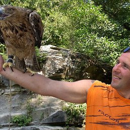 ����������, ������, 54 ����