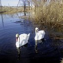 ���� ������, �������, 47 ��� - ��������� 10 ������ 2018