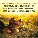 ���� Elena, ���������, 57 ��� - ��������� 7 ���� 2018 � ������ ������ ��������