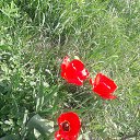 ���� �����, �����-���������, 44 ���� - ��������� 18 ��� 2018 � ������ �������� ����� �������.�